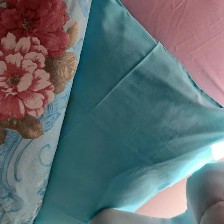 Claire De Meuse Cozy Quiet For Sport And Rest Bed and breakfast Anhée