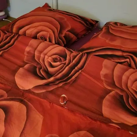 Claire De Meuse Cozy Quiet For Sport And Rest Bed and breakfast